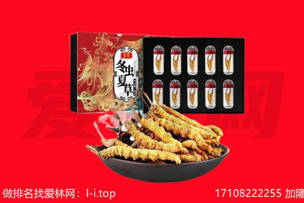 阿里地区噶尔回收虫草.jpg